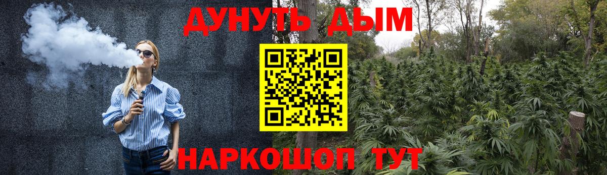 Бошки Шишки планчик Баксан